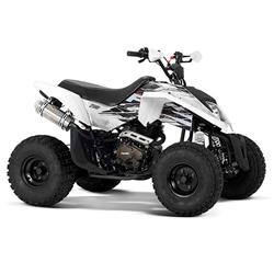 Cuatriciclo Zanella Fx 200 Mad Max