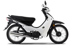 Moto Zanella Due 110 Classic Mt62180/61040 Rayo C/Arranque Elect