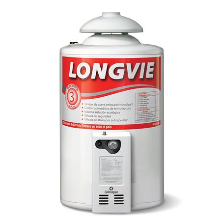 Termotanque Longvie 40 Litros T340arp Multigas De Pie